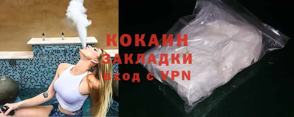 индика Алзамай