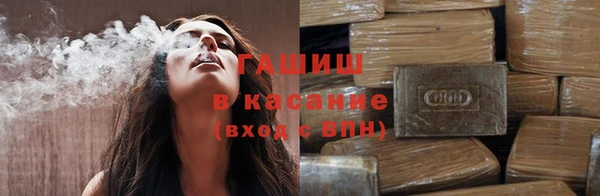 индика Алзамай